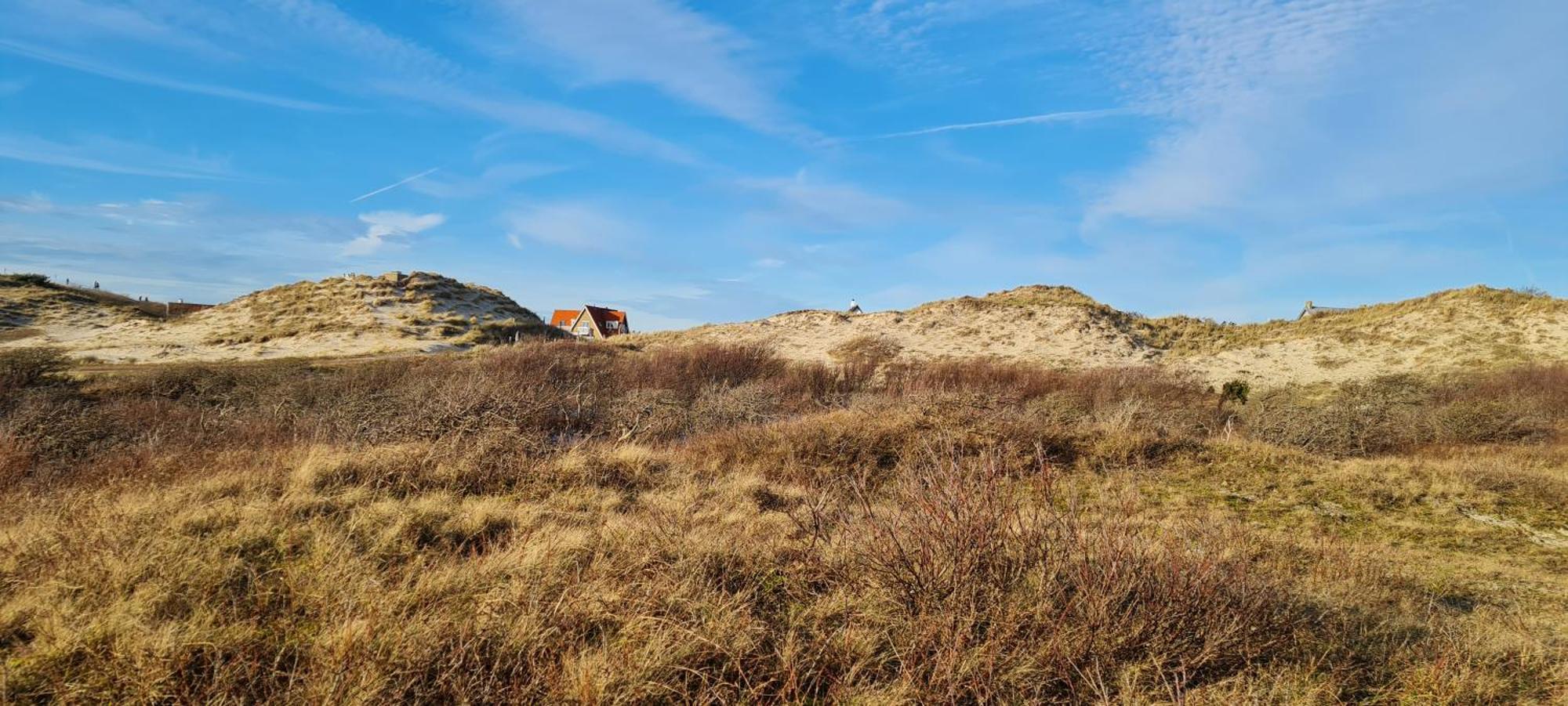 Villa Parnassia Bergen aan Zee Exteriér fotografie