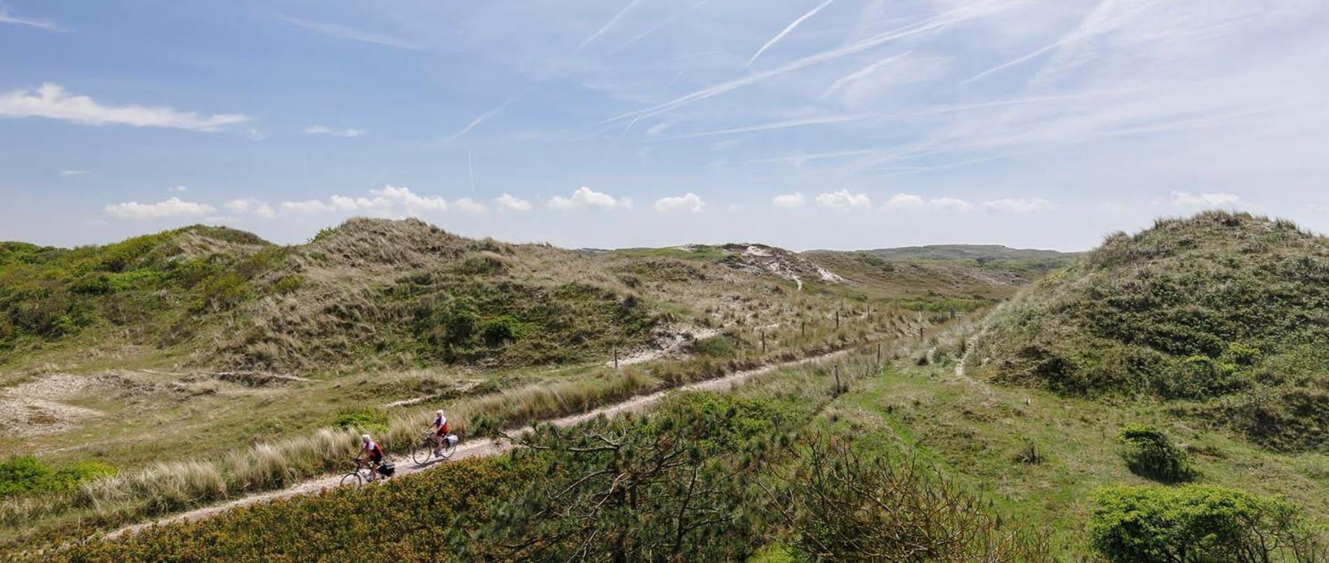 Villa Parnassia Bergen aan Zee Exteriér fotografie